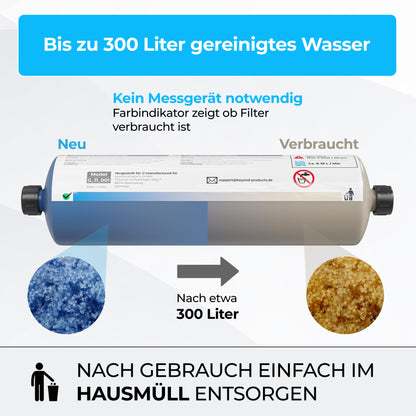 Vollentsalzungs-patrone nach VDI-Norm 2035